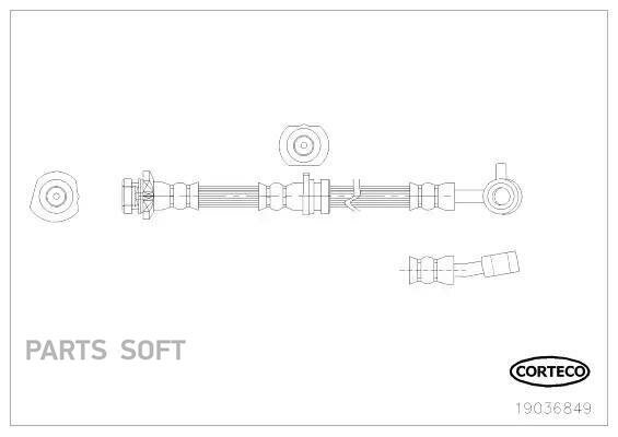 CORTECO 19036849 Тормозной шланг передний R [265mm] 1шт