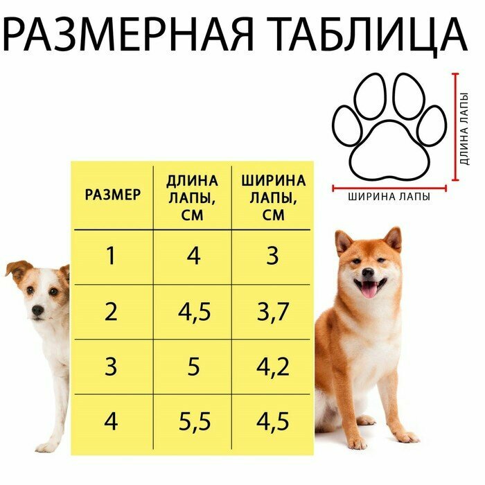 Ботинки Элеганс, набор 4 шт, размер 2 (подошва 4,5 х 3,7 см) розовые - фотография № 2