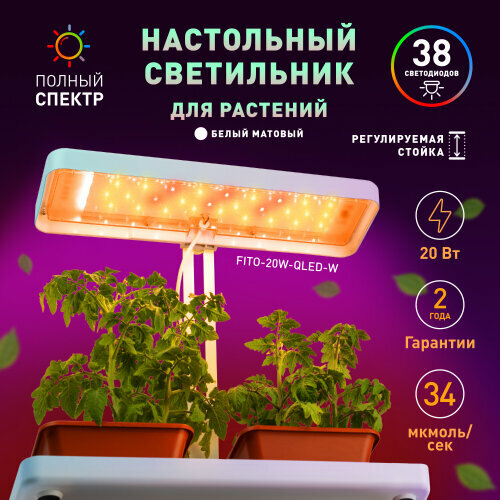 ЭРА Настольный светильник для растений FITO-20W-QLED