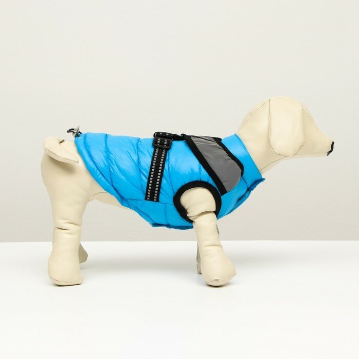 Куртка для собак со светоотражающей шлейкой, размер 18 (ДС 40, ОГ 50, ОШ 38), голубая - фотография № 2