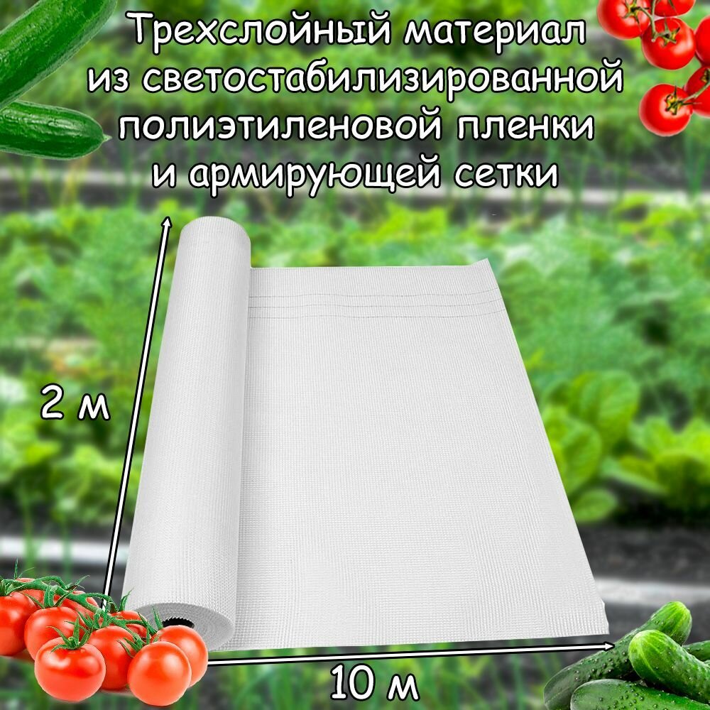 Армированная пленка для теплиц и парников 2х10 м, УФ стабильная, 200 мкм - фотография № 2