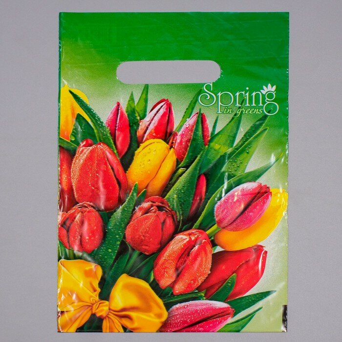 Интерпак Пакет "Весна", полиэтиленовый с вырубной ручкой, 20 х 30 см, 30 мкм