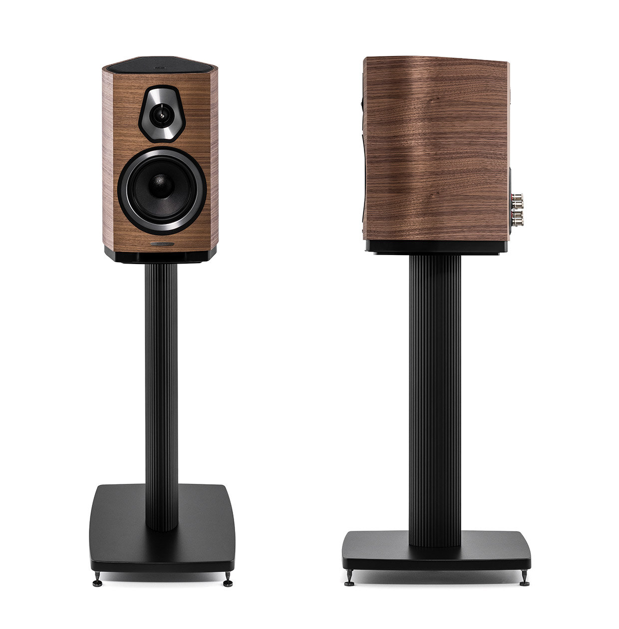 Sonus Faber Sonetto II Wood