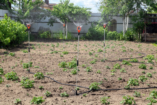 Капельный полив картофельных полей, овощей, газонов Жук 100 м2 для огорода - фотография № 7