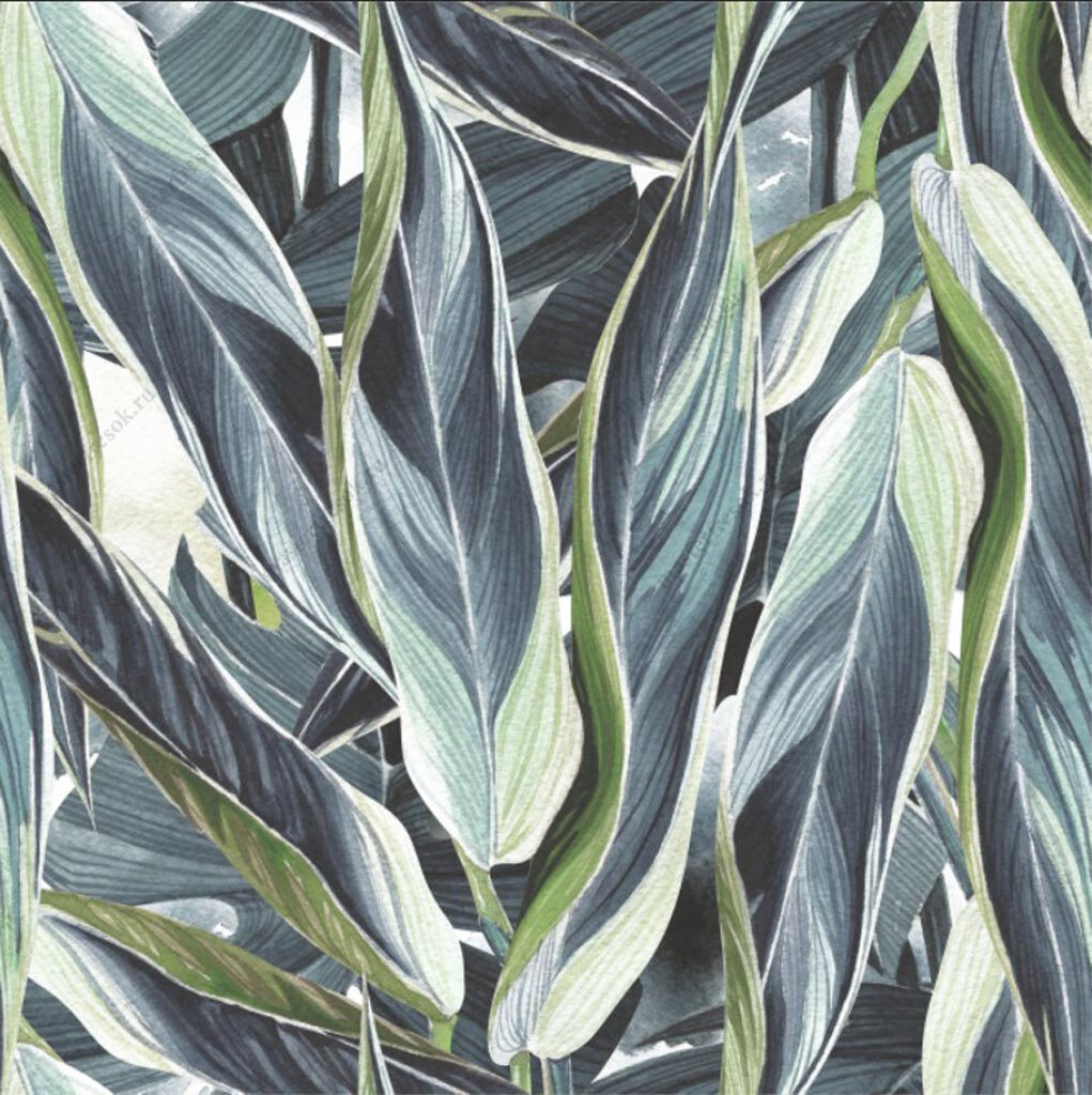 Фотообои Зелёные листья хосты 275x275 (ВхШ), бесшовные, флизелиновые, MasterFresok арт 9-1664 - фотография № 3