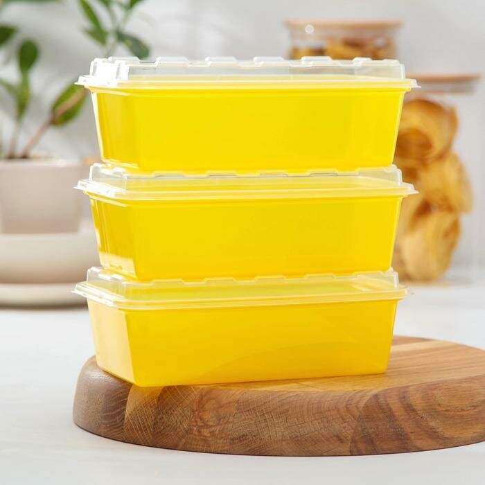 BEROSSI Набор контейнеров для заморозки 1 л Zip, 3 шт, цвет желтый - фотография № 1