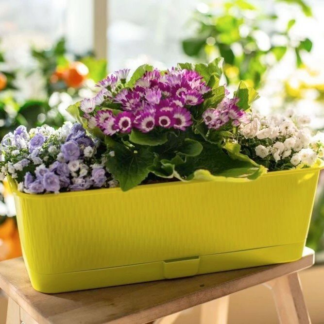Ящик балконный цветочный пластик 6.7 л "Прованс" 40х17х13 см с поддоном цвет фисташковый