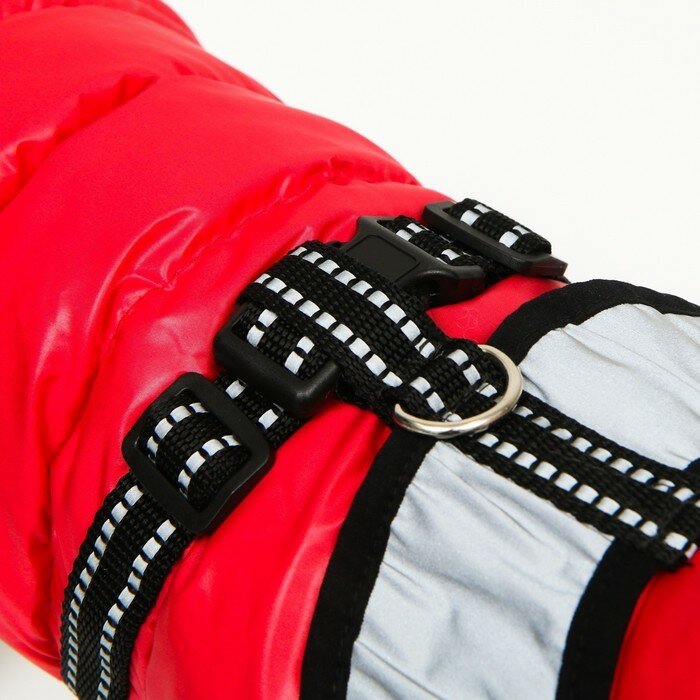 Куртка для собак со светоотражающей шлейкой, размер 8 (ДС 23 см, ОГ 30, ОШ 22 см), красная - фотография № 6
