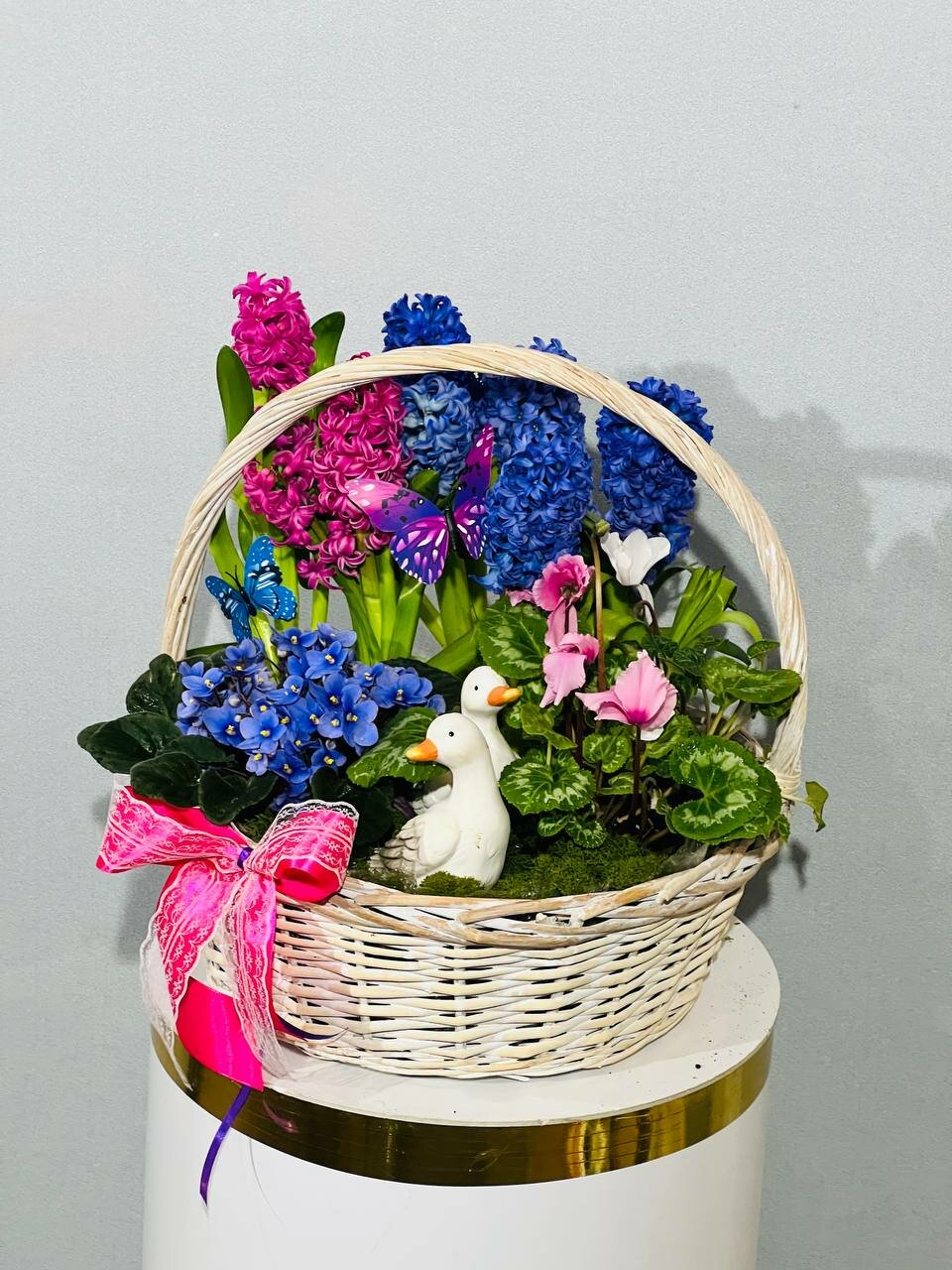 Цветы в корзине / Гиацинт фиалка и цикламен / Весенние первоцветы