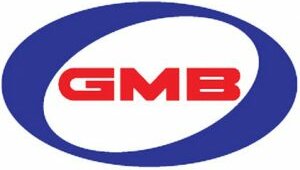 GMB крестовина кардана GMB GUT13 GUT13/TT113 0437120010/22010