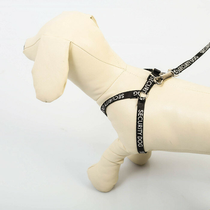 Пушистое счастье Комплект Security dog, шлейка 26-39 см, поводок 120х1 см - фотография № 4