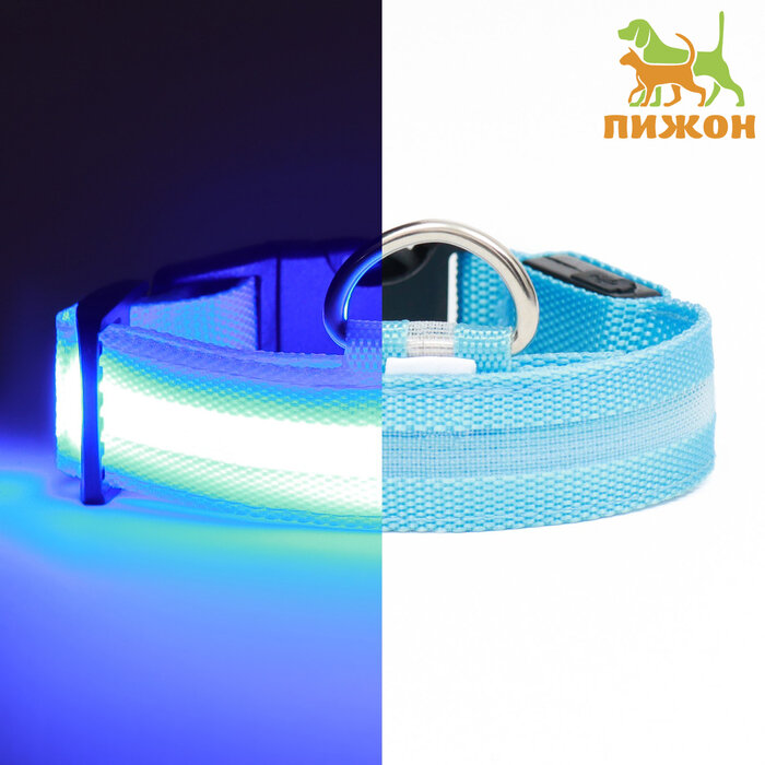 фото Ошейник с подсветкой, зарядка от USB, размер M, ОШ 37-46 см, 3 режима, голубой, 1400170