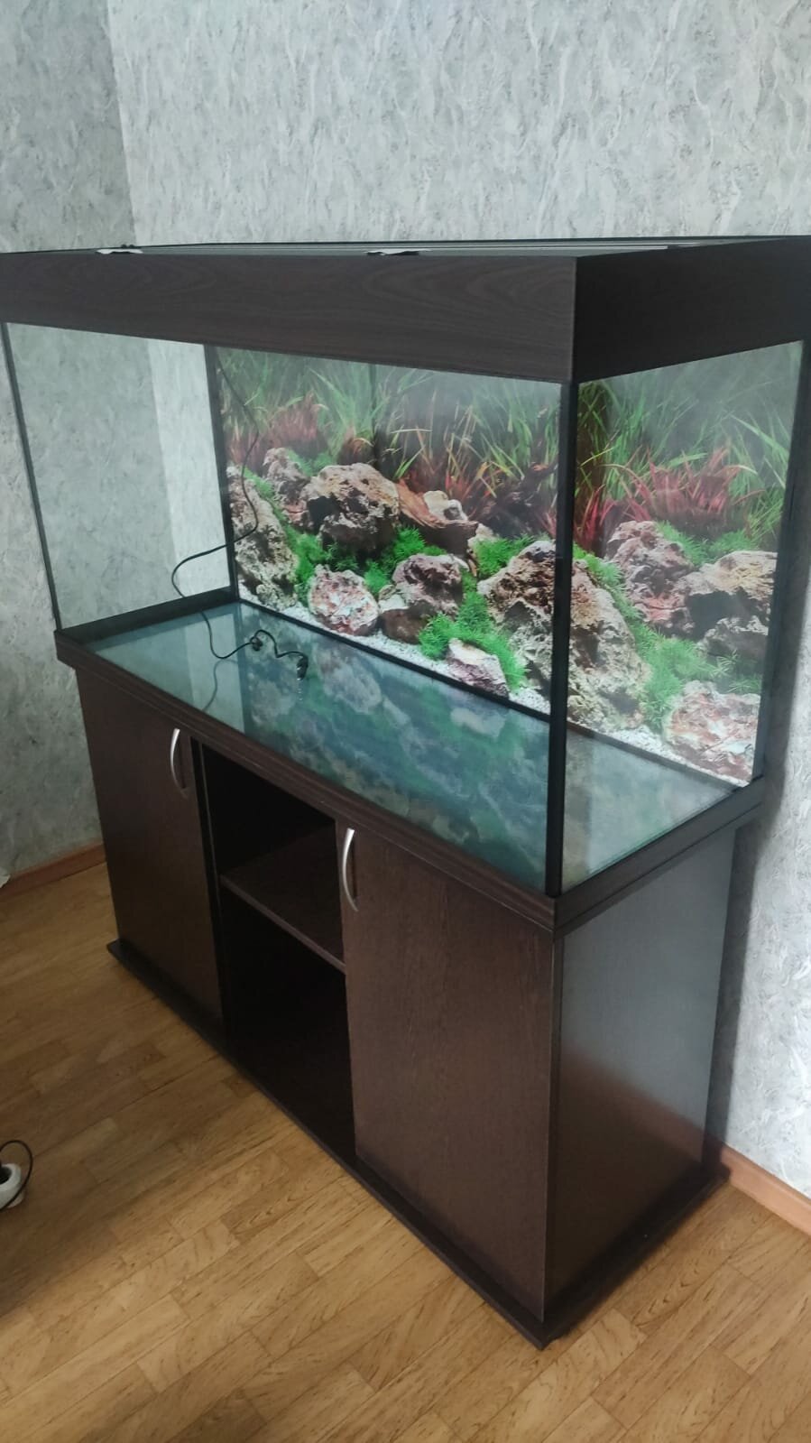 Аквариум 200 л AquariumBest с тумбой цвет Венге (темно-коричневый) 101х36х58 (ДхШхВ) - фотография № 2