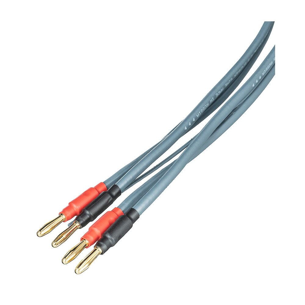 Tchernov Cable Special 2.5 SC 1.65 m Bn/Bn black акустический кабель разъёмы банан-банан