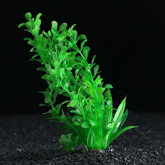 Пижон Аква Растение искусственное с распылителем, 14 х 14 х 20 см - фотография № 2