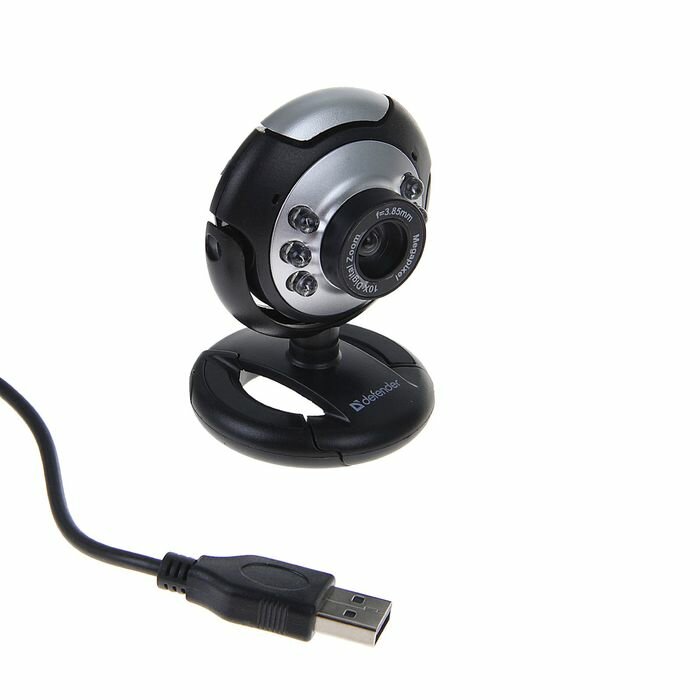 Web-камеры Defender Веб-камера Defender C-110, 0.3 Мп, 640x480, микрофон, черно-серебристая