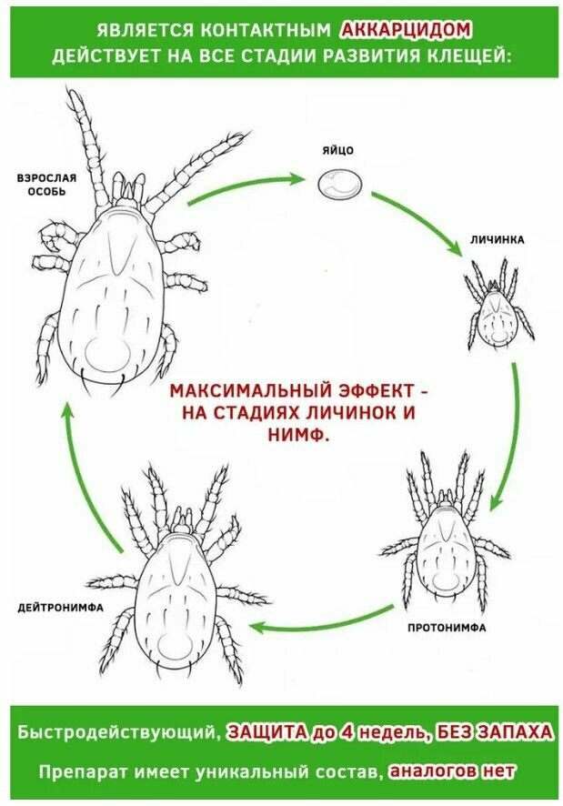 Санмайт Профи 5 гр Sanmite Profi от вредителей растений, от клещей. Средство от садовых вредителей, от белых и красных клещей биоабсолют 1 шт. - фотография № 4