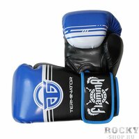 Боксерские перчатки Flamma Terminator 2.0 Blue, 12 OZ Flamma