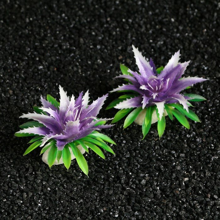 Растение аквариумное Пижон Аква искусственное, 11х9х6 см, фиолетовое, 2 шт - фотография № 1