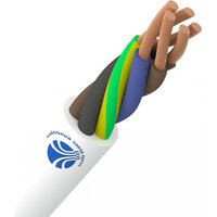 Провод ОРЕОЛ ПВС белый 5х2,5 мм ГОСТ 100 м   ...