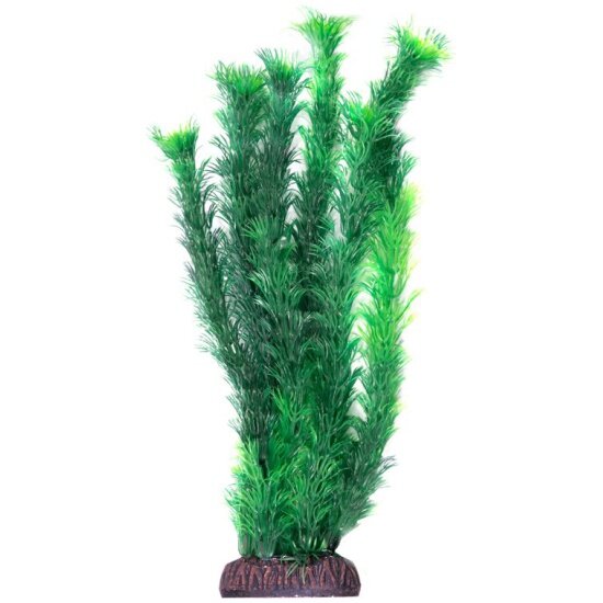 Растение LAGUNA "Амбулия" зеленая, 300мм