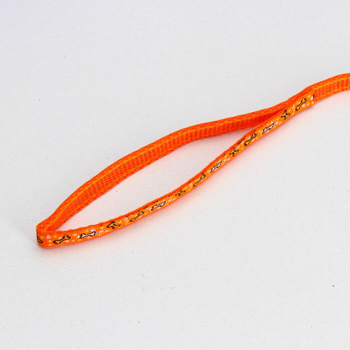 Пижон Комплект "Звездные косточки", ширина 1 см, поводок 120 см, шлейка 23-35 см, оранжевый - фотография № 5