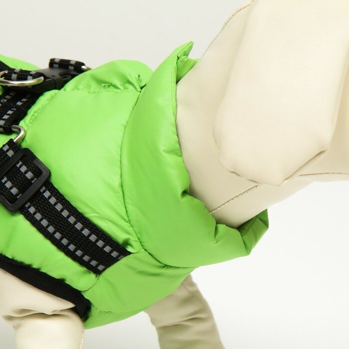 Куртка для собак со шлейкой, размер 20 (ДС 43 см, ОГ 56 см, ОШ 41 см), салатовая - фотография № 5