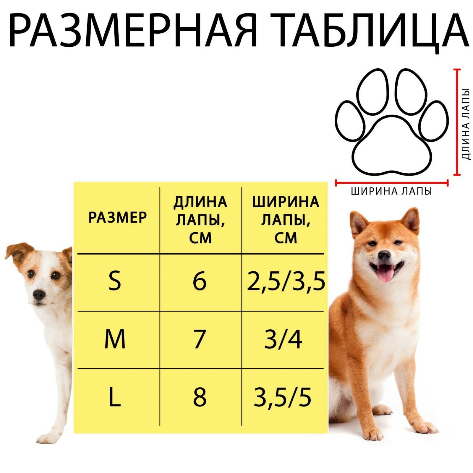 Носки нескользящие "Мальчик", размер M (3/4 * 7 см), набор 4 шт - фотография № 3