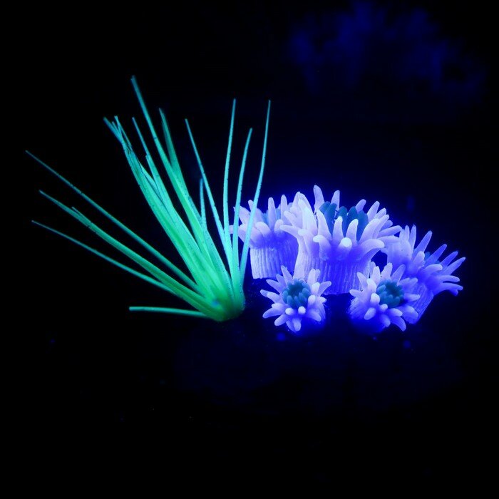 Декор для аквариума "Коралловый островок" силиконовый, 5 х 7 х 5 см, фиолетово-оранжевый - фотография № 2