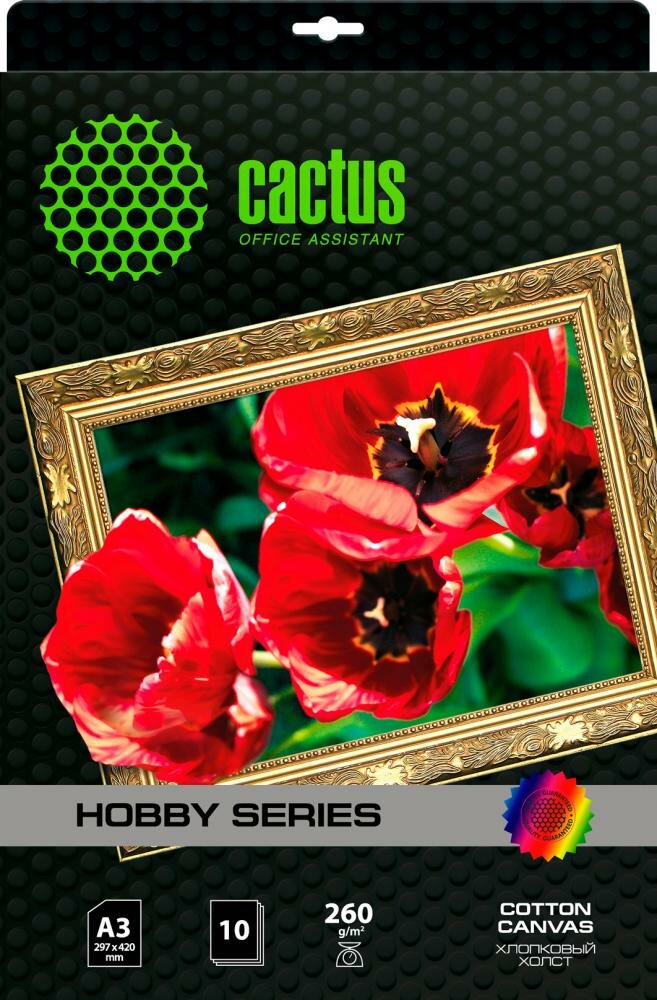 Cactus CS-CA326010 (белый)