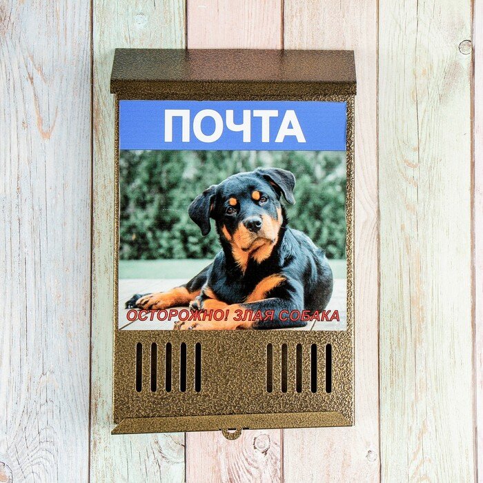 Ящик почтовый без замка (с петлёй), вертикальный, «Фото», микс, бронзовый - фотография № 5