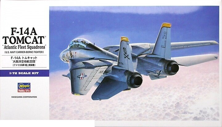 00544 Самолет F-14A Tomcat