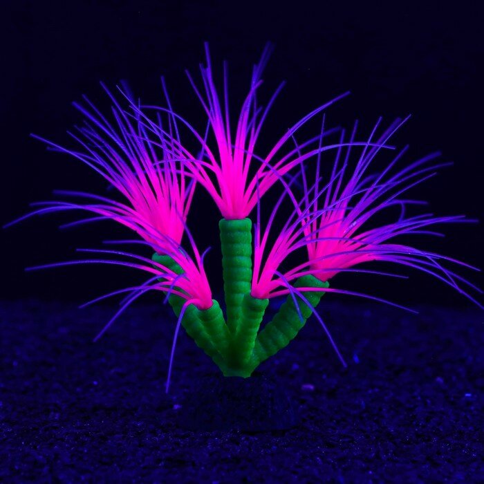Декор для аквариума Coral Plant силиконовое, светящееся в темноте, 14 х 17 см, фиолетовый - фотография № 2