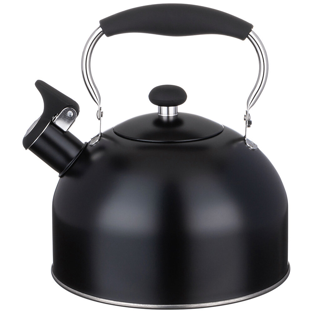 фото Чайник agness со свистком 2,5 л,нжс индукция KSG-937-907