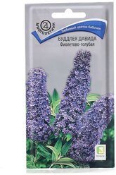 Семена цветов Буддлея "Давида Фиолетово-голубая", 0,01гр.