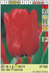 Луковицы Тюльпан HOLLAND BULB MARKET Тюльпан Иль Де Франс 10/11 красный 5шт