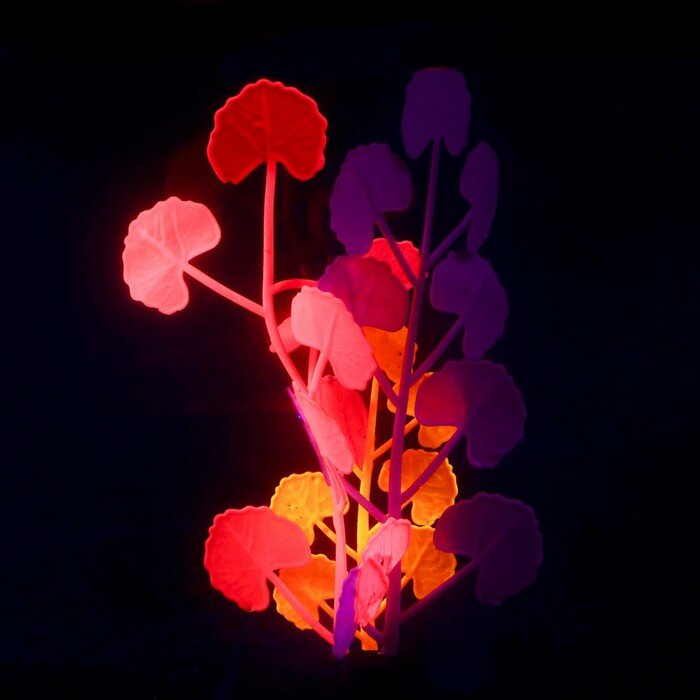 Растение силиконовое аквариумное, светящееся в темноте, 8 х 19 см, разноцветное - фотография № 2