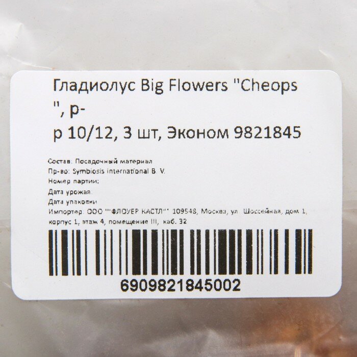 Гладиолус Big Flowers "Cheops", р-р 10/12, 3 шт, Эконом - фотография № 2