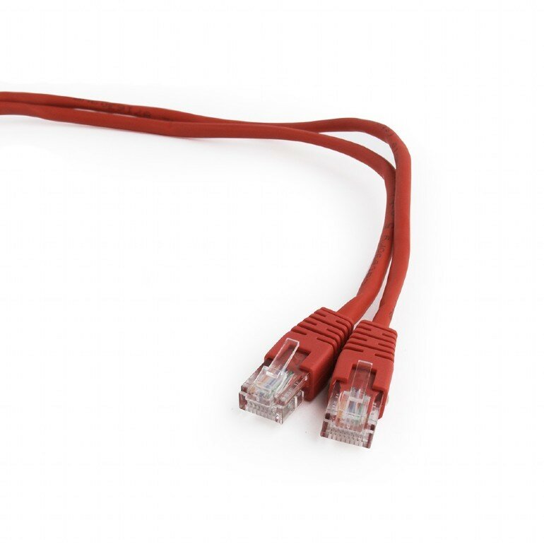 Cablexpert - UTP PP12-5M R .5, 5, ,  