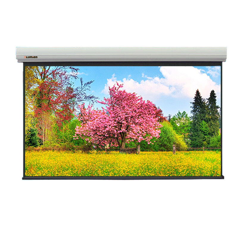 Экран для дома, настенно потолочный с электроприводом Lumien Master Large Control 299x510 см LMLC-100104