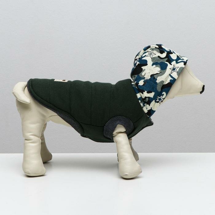 Куртка для собак, S (ДС 20 см, ОШ 23 см, ОГ 32 см), тёмно-зелёная - фотография № 3