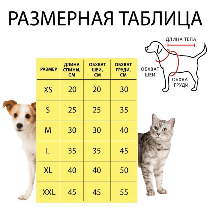 Комбинезон «Мишка», L (ДС 35 см, ОШ 35 см, ОГ 45 см) - фотография № 14