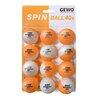 Мячи Gewo Spinball 40+ Plastic x12 Мulticolor - изображение