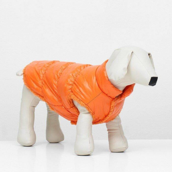 FlowMe Куртка для собак "Блеск", XS (ДС 20, ОГ 28, ОШ 19 см, до 3 кг), оранжевая - фотография № 2