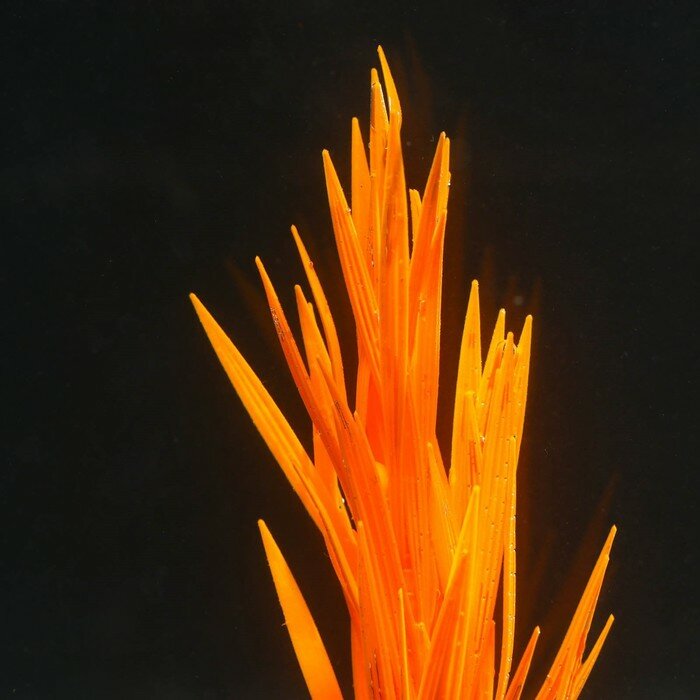 Растение силиконовое аквариумное, светящееся в темноте, 7 х 12,5 см, оранжевое - фотография № 2