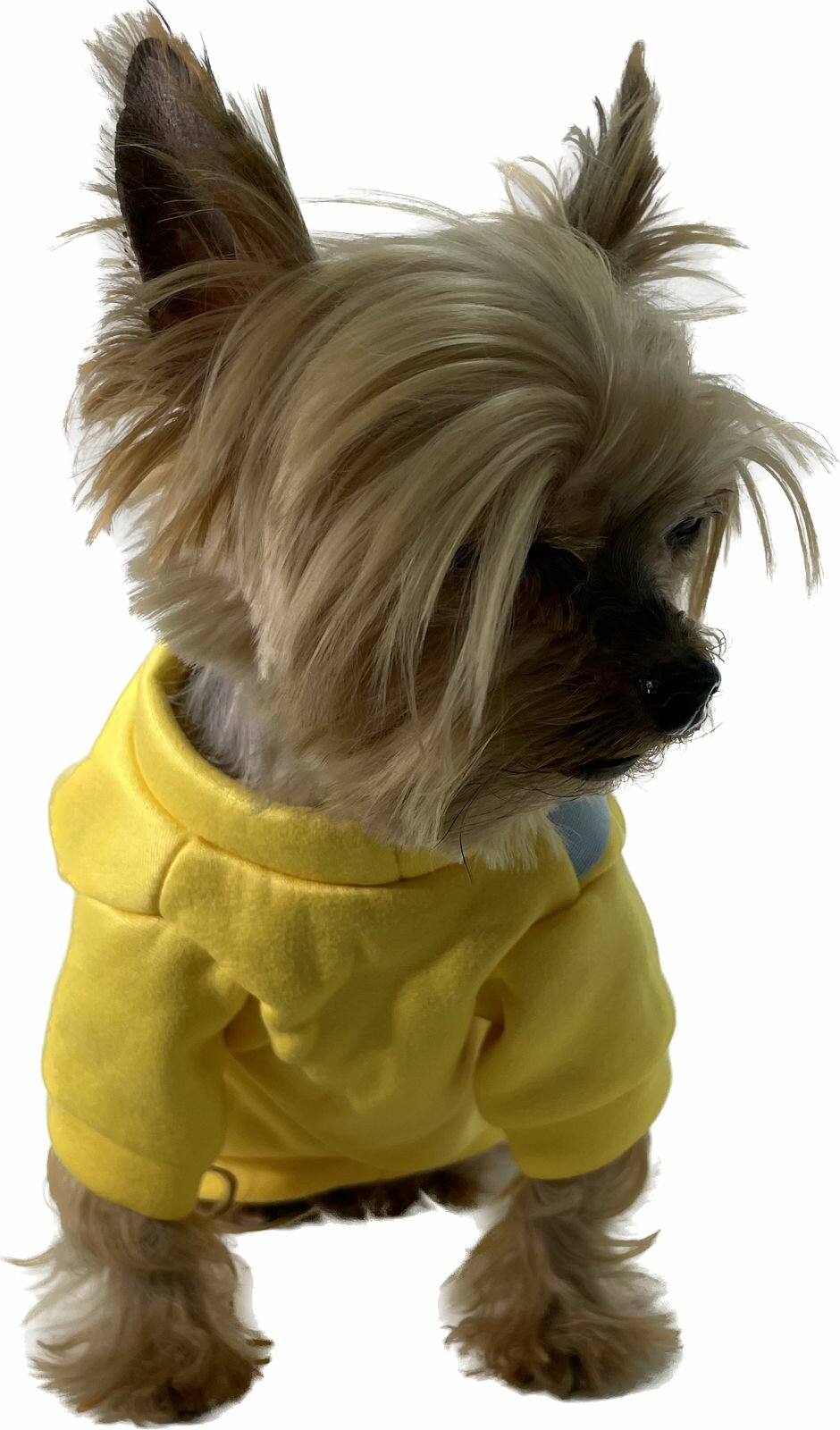 Одежда для собак теплый плюшевый свитер желтый с сумкой XS - фотография № 5