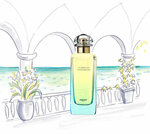 Женская парфюмерия Hermes Un Jardin En Mediterranee гель-крем 200ml - изображение
