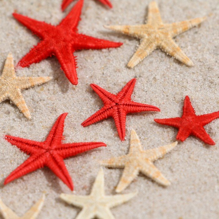 Набор натуральных морских звезд Пижон Аква 1,5-2,5 см, 20 шт, красные-белые - фотография № 3