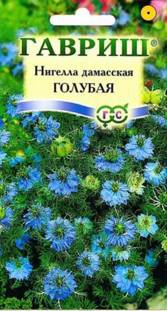 Нигелла Голубая дамасская 05г Сухоцвет Одн 50см (Гавриш) - 10 пачек семян