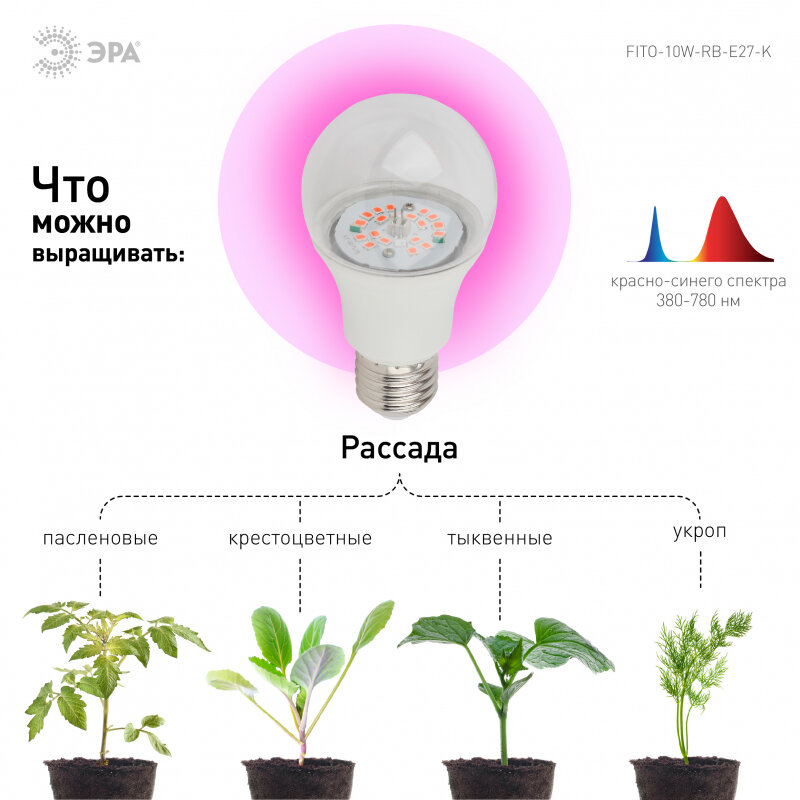 Лампа для растений ЭРА FITO-10W-RB-E27 красно-синий спектр - фотография № 3